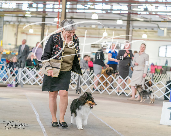 20240330-DSC01313