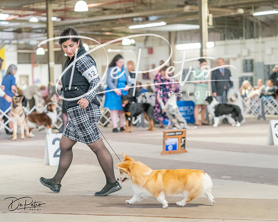 20240330-DSC01341