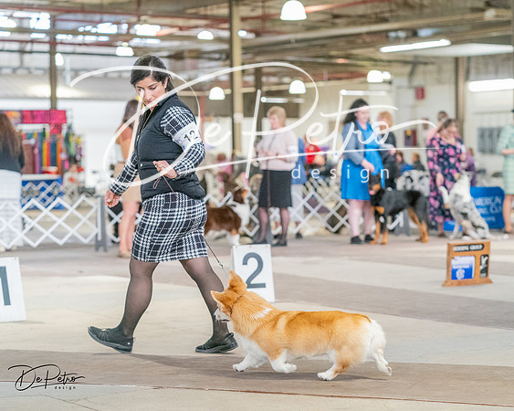 20240330-DSC01349