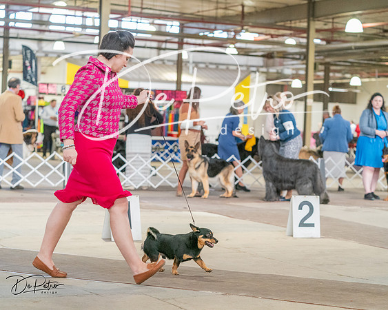 20240330-DSC01377