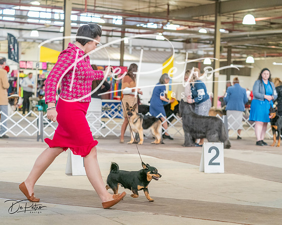 20240330-DSC01378