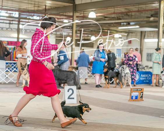 20240330-DSC01385