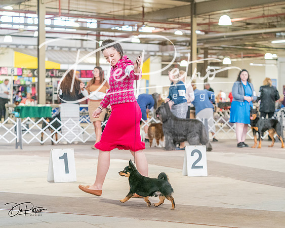 20240330-DSC01399