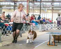 20240330-DSC00911
