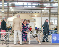 20240330-DSC00958