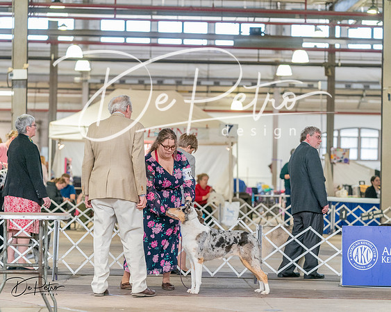 20240330-DSC00958