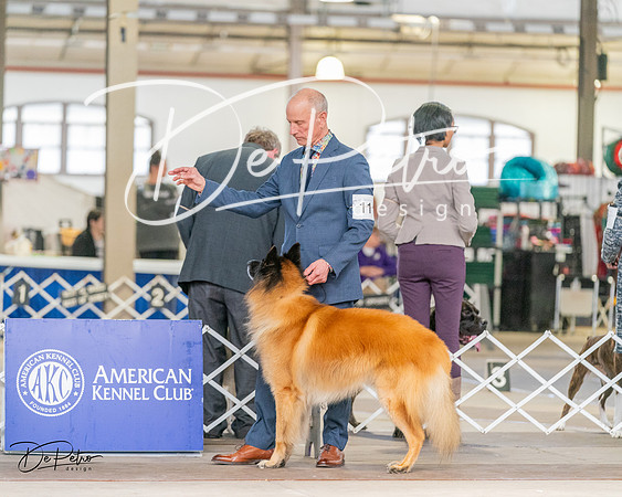 20240330-DSC01044