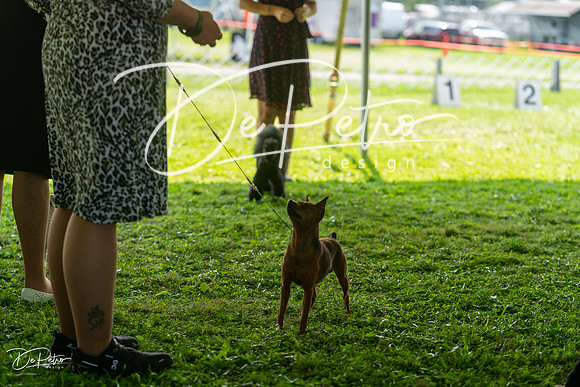 20240816-DSC00272