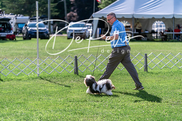 20240630-DSC05137