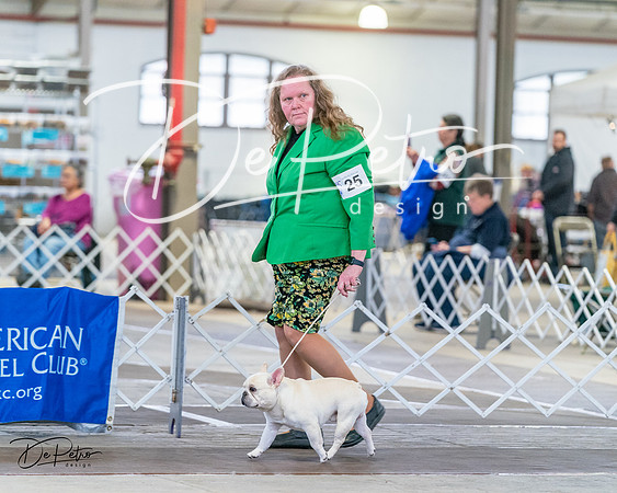 20240331-DSC02529