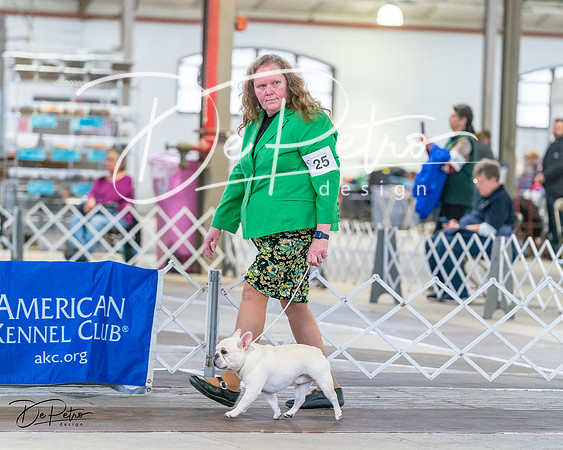20240331-DSC02532