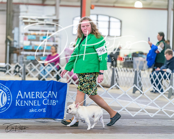 20240331-DSC02535