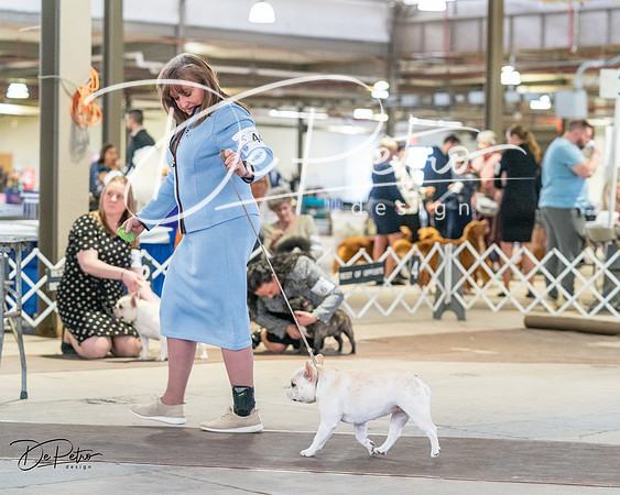 20240331-DSC02680