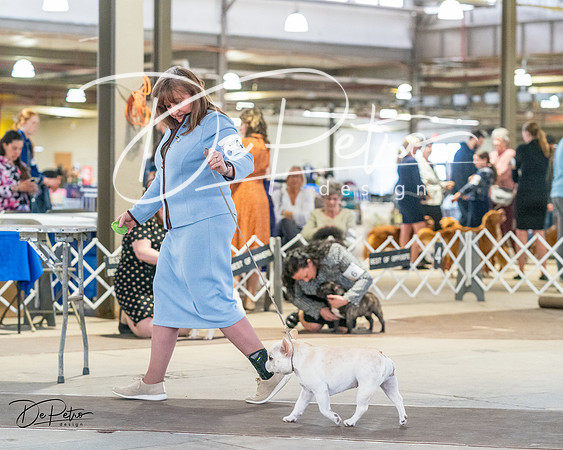 20240331-DSC02684