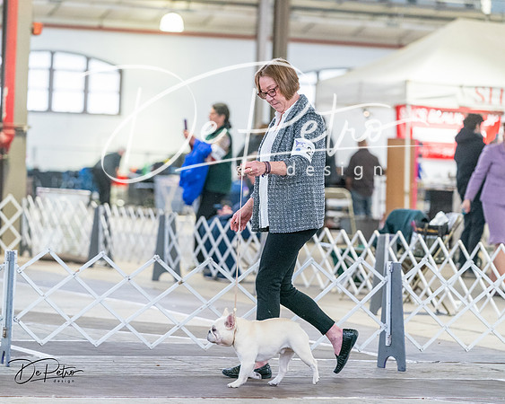 20240331-DSC02501