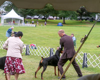 20250628-DSC07269