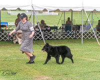 20250628-DSC08859