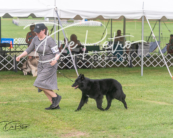 20250628-DSC08859
