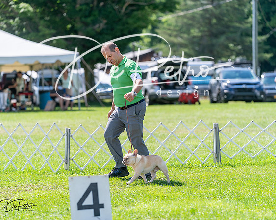 20240630-DSC02492
