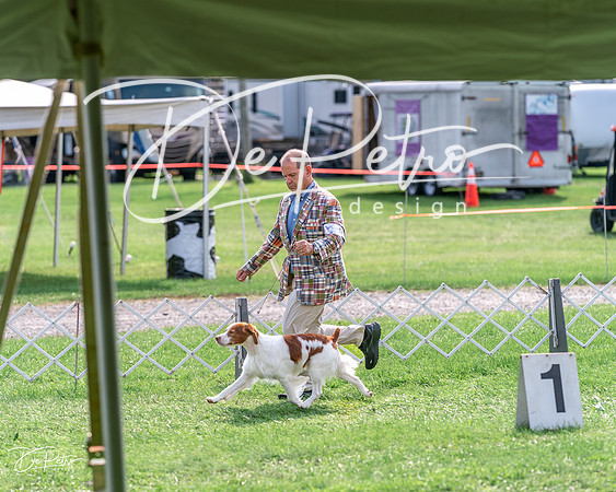 20240815-DSC07823