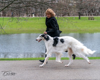20240414-DSC07055