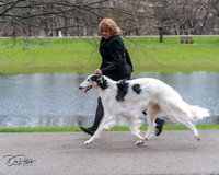 20240414-DSC07054