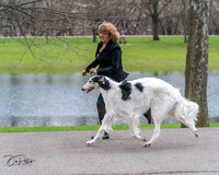 20240414-DSC07049