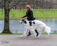 20240414-DSC07059