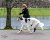20240414-DSC07060