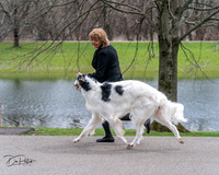 20240414-DSC07070