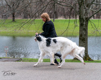 20240414-DSC07071