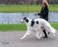 20240414-DSC07089