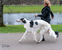 20240414-DSC07094