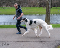 20240414-DSC07102
