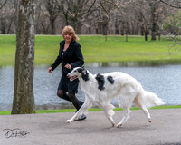 20240414-DSC07037