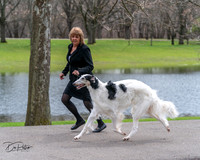 20240414-DSC07038