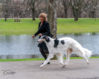 20240414-DSC07043
