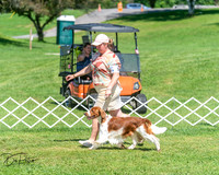 20250629-DSC00041