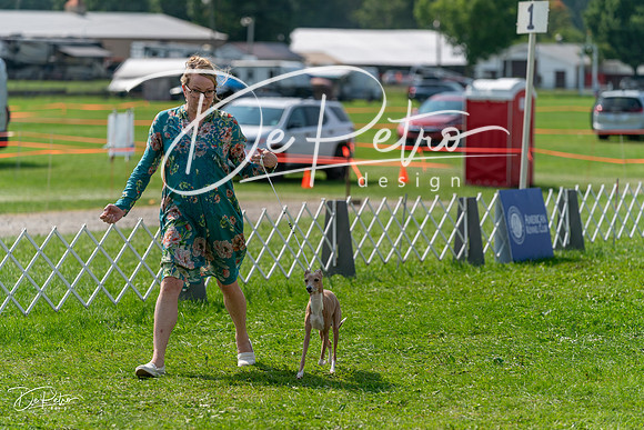 20240816-DSC00326