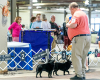 20240331-DSC02916