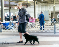 20240331-DSC02925