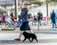 20240331-DSC02932