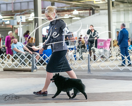 20240331-DSC02932