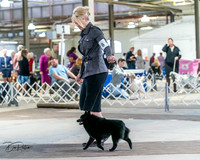20240331-DSC02936
