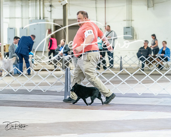 20240331-DSC03006