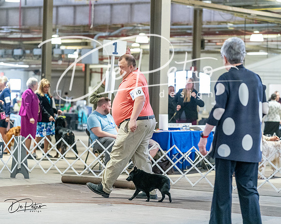 20240331-DSC03037