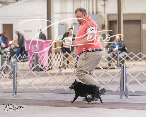 20240331-DSC03069