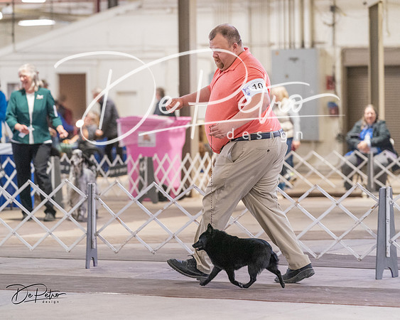 20240331-DSC03072