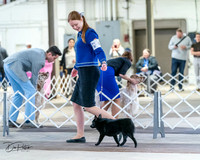 20240331-DSC02897