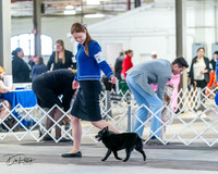 20240331-DSC02902